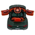 Auto na batériu Bentley EXP 12 pre deti Zelený + Ovládač + Otváracie dvere + Elegantný vzhľad