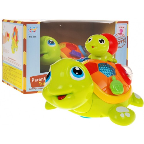 Korytnačka s mláďaťom