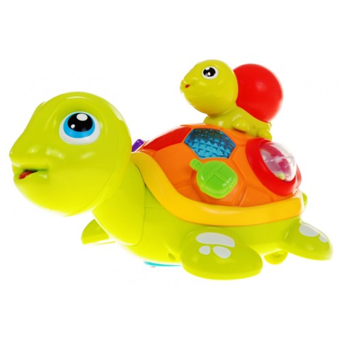 Korytnačka s mláďaťom