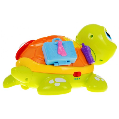 Korytnačka s mláďaťom