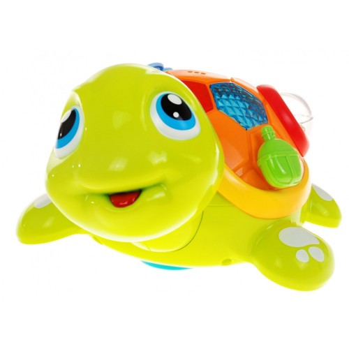 Korytnačka s mláďaťom