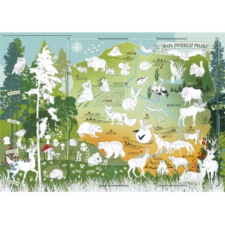 Mapa "Zvieratá Poľska" edukačná vymaľovánka