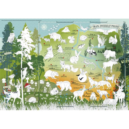 Mapa "Zvieratá Poľska" edukačná vymaľovánka