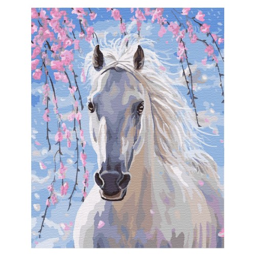 Maľovanie podľa čísiel Biely Kôň 40x50 Plátno + Farby + Štetce