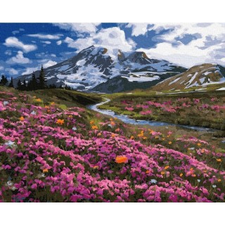 Maľovanie podľa čísiel Jar v Horách 40x50 Plátno + Farby + Štetce