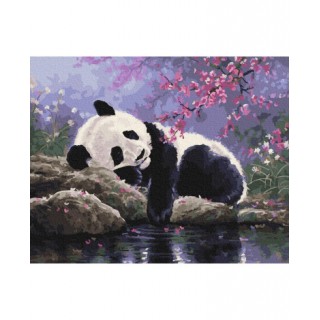 Maľovanie podľa čísiel Panda pri Oddychu 40x50 Plátno + Farby + Štetce