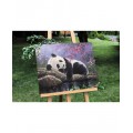 Maľovanie podľa čísiel Panda pri Oddychu 40x50 Plátno + Farby + Štetce