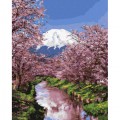 Maľovanie podľa čísiel Kvitnúca Sakura 40x50 Plátno + Farby + Štetce