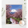 Maľovanie podľa čísiel Kvitnúca Sakura 40x50 Plátno + Farby + Štetce