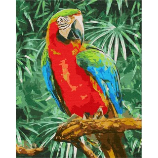 Sada Painting By Numbers 40x50cm Rainbow Beauty