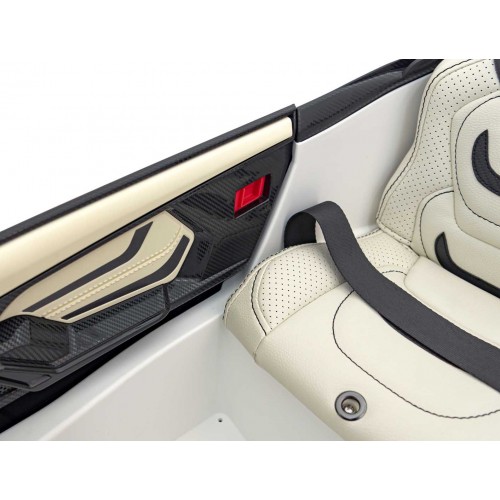 Vozidlo Lamborghini SIAN