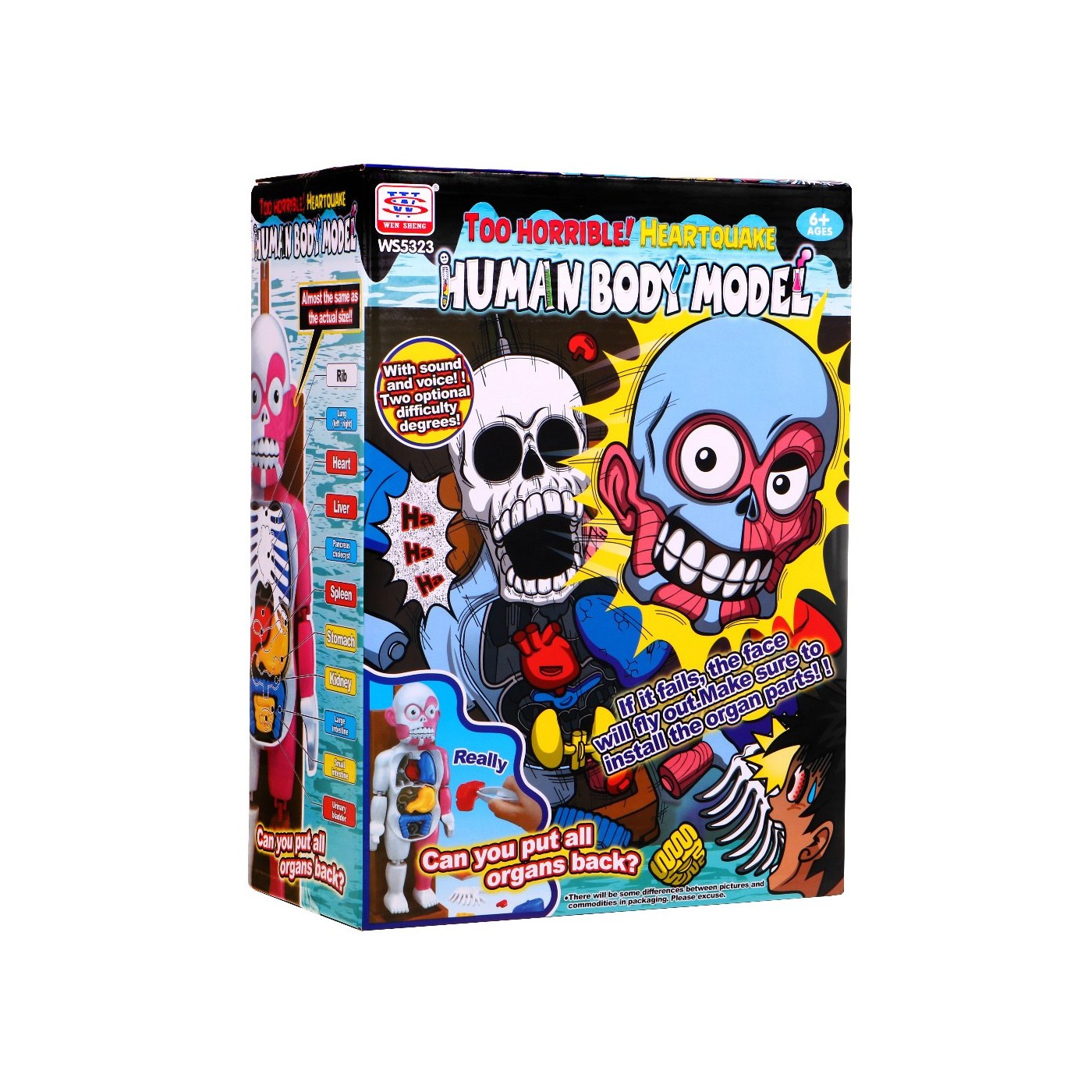 Hra Kostra Skeletor