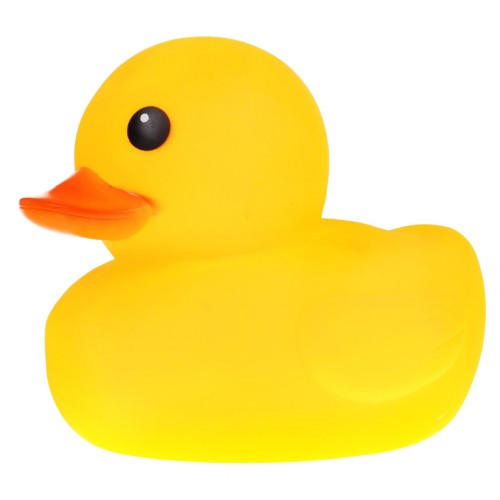 Kačičky na Kúpanie