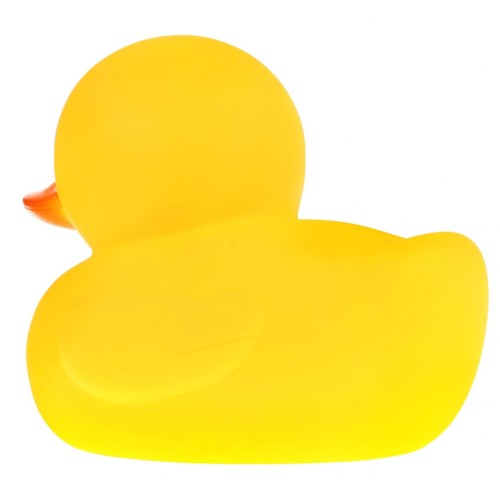 Kačičky na Kúpanie