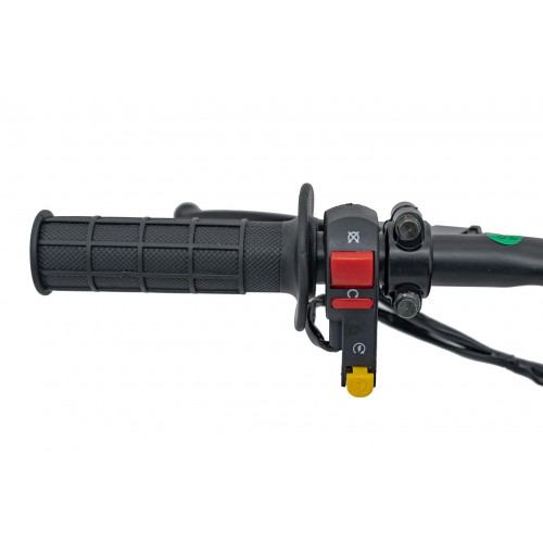 Motor s vnútorným spaľovaním vozidla 110CM IMMORTAL Zelená