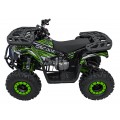 Vozidlo Quad Combustion 125CC DISCOVERER Zelená