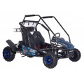 BUGGY spaľovacie vozidlo LUCKY SEVEN LIFT Blue