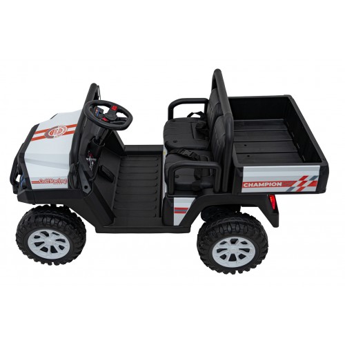 Champion Pick-Up Vehicle White