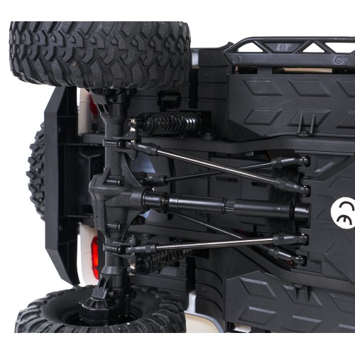 Auto R/C WILDERNESS RTR 1:10 Black