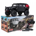 Auto R/C WILDERNESS RTR 1:10 Black