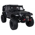 Auto R/C WILDERNESS RTR 1:10 Black