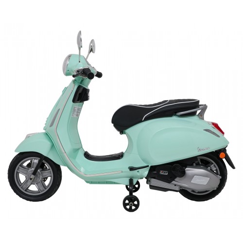 Vespa ROMA Scooter Vehicle Green
