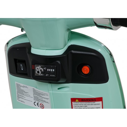 Vespa ROMA Scooter Vehicle Green