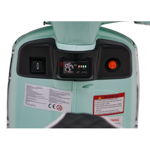 Vespa ROMA Scooter Vehicle Green