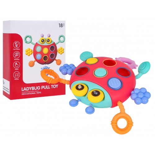 Multifunkčná lienka pre najmenších