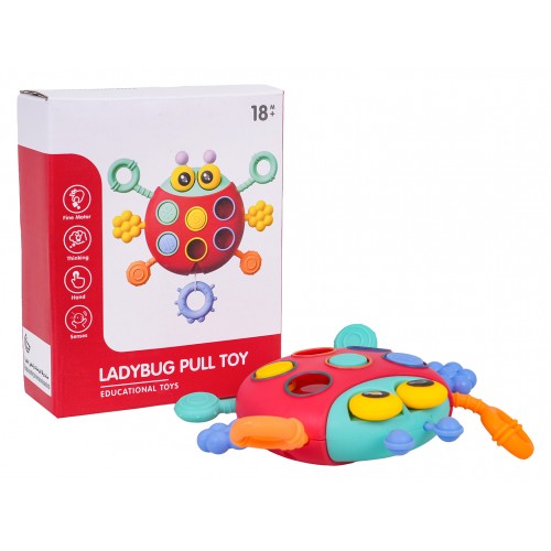 Multifunkčná lienka pre najmenších