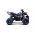 Štvorkolka WILDPEAK 110cc Blue Combustion