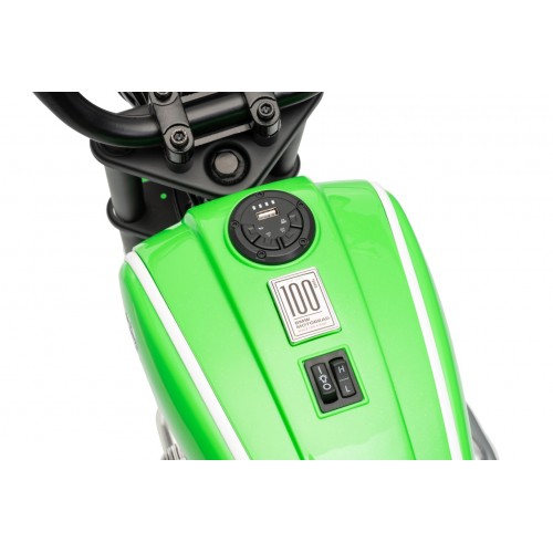 Motor vozidla BMW R18 zelený