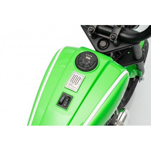 Motor vozidla BMW R18 zelený