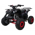 Štvorkolka WILDPEAK 110cc Red Combustion