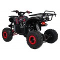 Štvorkolka WILDPEAK 110cc Red Combustion
