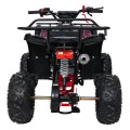 Štvorkolka WILDPEAK 110cc Red Combustion