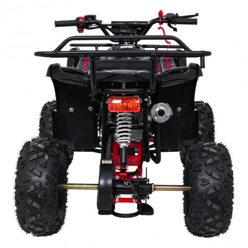 Štvorkolka WILDPEAK 110cc Red Combustion