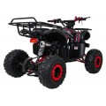Štvorkolka WILDPEAK 110cc Red Combustion