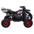 Štvorkolka WILDPEAK 110cc Red Combustion