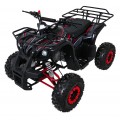 Štvorkolka WILDPEAK 110cc Red Combustion
