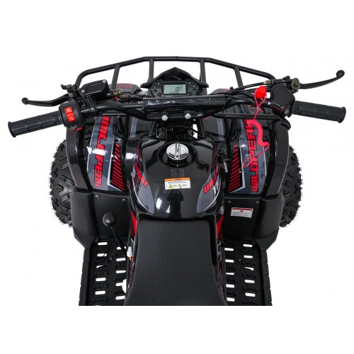 Štvorkolka WILDPEAK 110cc Red Combustion