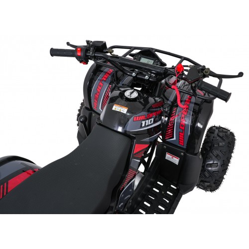 Štvorkolka WILDPEAK 110cc Red Combustion