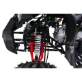Štvorkolka WILDPEAK 110cc Red Combustion