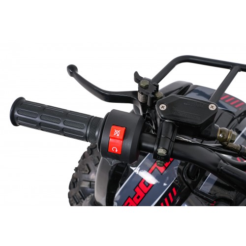 Štvorkolka WILDPEAK 110cc Red Combustion