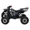 Štvorkolka WILDPEAK 110cc Black Combustion