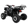 Štvorkolka WILDPEAK 110cc Black Combustion