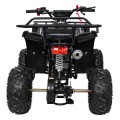 Štvorkolka WILDPEAK 110cc Black Combustion