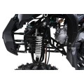 Štvorkolka WILDPEAK 110cc Black Combustion