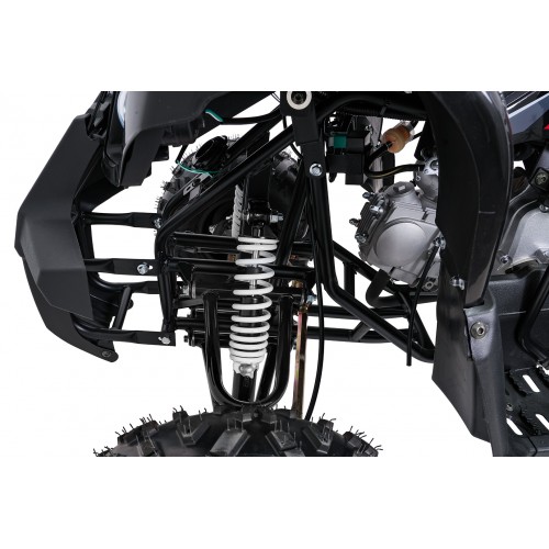Štvorkolka WILDPEAK 110cc Black Combustion