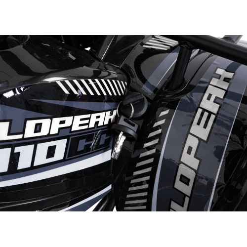 Štvorkolka WILDPEAK 110cc Black Combustion